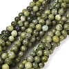 Natural Gemstone Beads GSR6mmC032-1