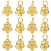 40Pcs Rack Plating Alloy Charms FIND-BBC0003-41G-1