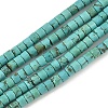 Dyed Natural Magnesite Beads Strands G-M448-C01-01-2