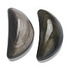 Natural Golden Sheen Obsidian Display Decorations G-P450-03A-01-1