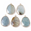 Natural Amazonite Pendants G-T131-08C-1