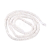 Natural Rainbow Moonstone Beads Strands G-K315-B08-5