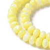 Natural Freshwater Shell Beads Strands SSHEL-C013-07C-3