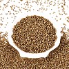 Glass Seed Beads X-SEED-S042-04B-16-1