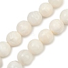 Natural White Shell Beads Strands BSHE-U002-01-2