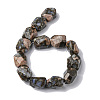 Natural Llanite Beads Strands G-F743-04E-3
