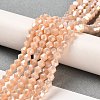 Opaque Solid Color Electroplate Glass Beads Strands LS-EGLA-A039-P4mm-B06-4
