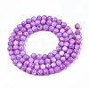 Natural Freshwater Shell Beads Strands SHEL-N003-24-B04-2