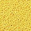 6/0 Glass Seed Beads SEED-L011-08A-17-3