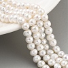 Natural Cultured Freshwater Pearl Beads Strands PEAR-C003-13D-2