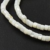 Natural Freshwater Shell Beads Strands BSHE-G039-03-3