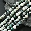 Natural Tree Agate Beads Strands X-G-K194-8mm-02-1