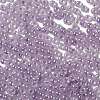 Glass Seed Beads X1-SEED-H002-E-A1421-3