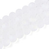 Frosted Transparent Glass Beads Strands GLAA-T032-T10mm-MBB13-2
