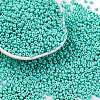 8/0 Baking Paint Glass Seed Beads SEED-M012-02A-41-1