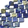 Natural Lapis Lazuli Beads Strands G-G106-E04-01-1