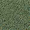 TOHO Round Seed Beads SEED-XTR11-0380-2