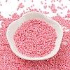 Baking Paint Glass Seed Beads SEED-S042-05B-86-2