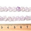 Natural Amethyst Beads Strands G-Z080-A24-8mm-5