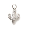 Brass Micro Pave Clear Cubic Zirconia Pendants KK-L225-032P-1