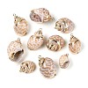 Electroplate Natural Spiral Shell Pendants SSHEL-N042-08-1