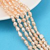 Natural Cultured Freshwater Pearl Beads Strands PEAR-P064-20H-02B-1