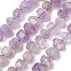 Natural Amethyst Nuggets Bead Strands G-P082-15-2
