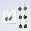 Natural Gemstone Dangle Earrings EJEW-L228-01-2
