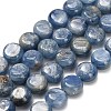 Natural Kyanite Beads Strands G-H335-K01-8mm-2