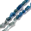 Gradient Color Natural Apatite Beads Strands G-L610-B12-01-1