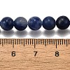 Natural Sodalite Round Bead Strands G-P072-27-6mm-5