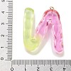 Resin Pendant FIND-Q107-01N-03-3