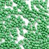Baking Paint Glass Seed Beads X1-SEED-A033-05Q-3