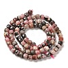 Natural Argentina Rhodonite Beads Strands LS-G-B107-B01-01-3