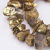 Electroplated Natural Quartz Crystal Bead Strands G-F336-06F-1