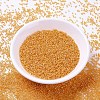 MIYUKI Delica Beads SEED-X0054-DB2045-2