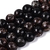Natural Biotite Beads Strands G-Q616-01D-2