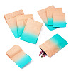 100Pcs 4 Styles PET Zipper Bags OPP-TA0001-19A-3