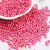 Baking Paint Glass Seed Beads X1-SEED-A033-05L-1