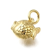 Brass Charms ZIRC-I070-086G-2