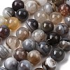 Natural Botswana Agate Beads Strands G-H334-A01-04-2