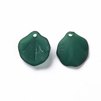 Transparent Frosted Acrylic Pendants MACR-S371-02A-735-1