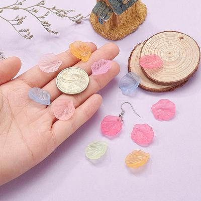 Transparent Frosted Acrylic Pendants X-MACR-S371-01A-1