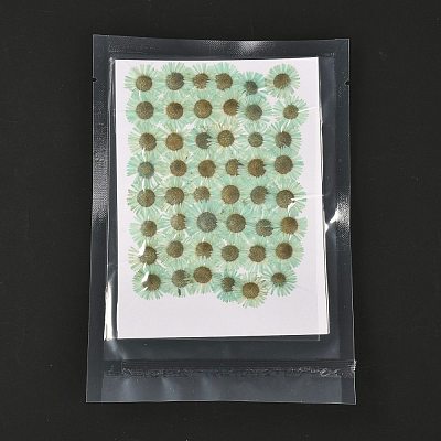 Centaurea Iberica Embossing Dried Flower DIY-K032-65H-1