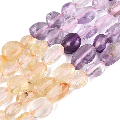 Natural Rose Quartz & Amethyst & Citrine(Heated) & Prehnite Beads Strands G-N371-01A-01-1