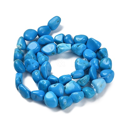 Natural Howlite Beads Strands LS-G-P497-01E-37-1