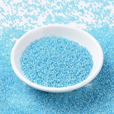 MIYUKI Round Rocailles Beads X-SEED-G007-RR0647-1