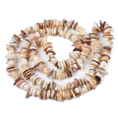 Natural Freshwater Shell Beads Strands SHEL-S278-071D-1