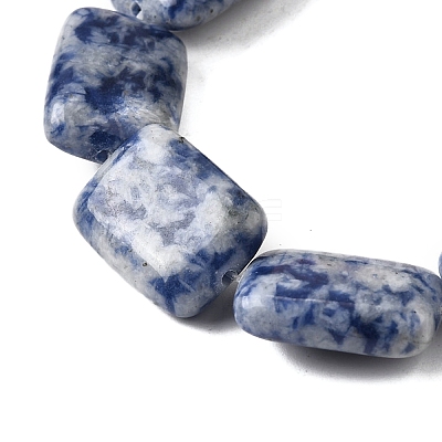 Natural Blue Spot Jasper Beads Strands G-S386-A05-1