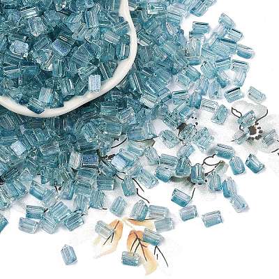 Transparent Spray Painted Glass Seed Beads SEED-L011-10A-09-1